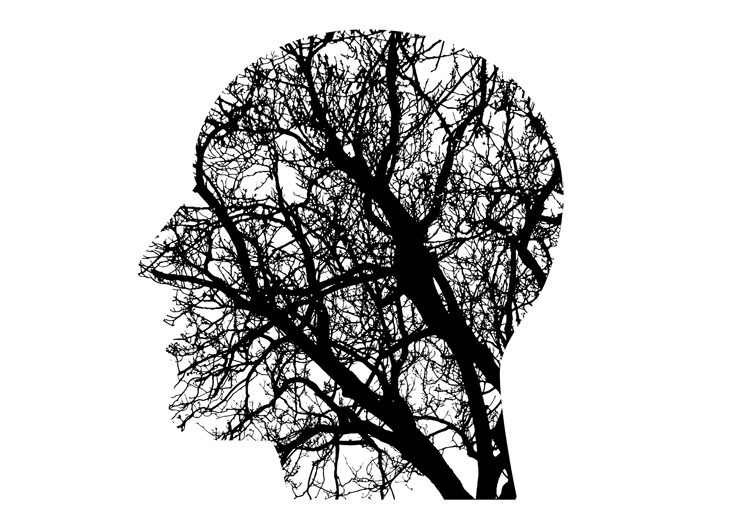 Drone Brain