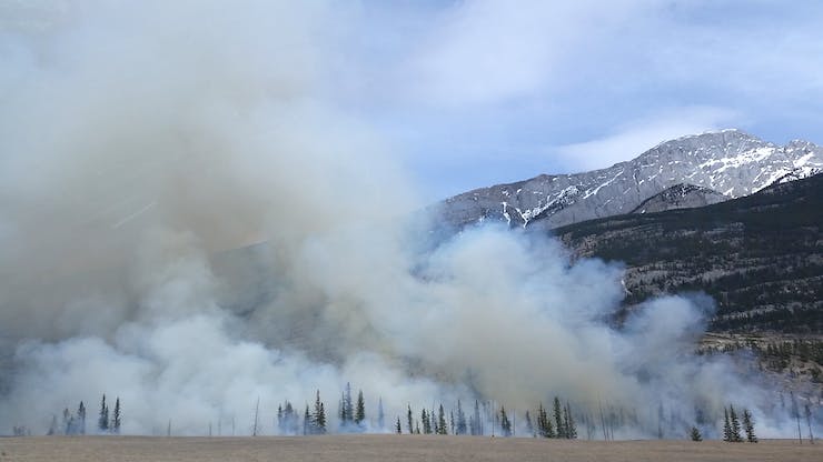 Wild Fire