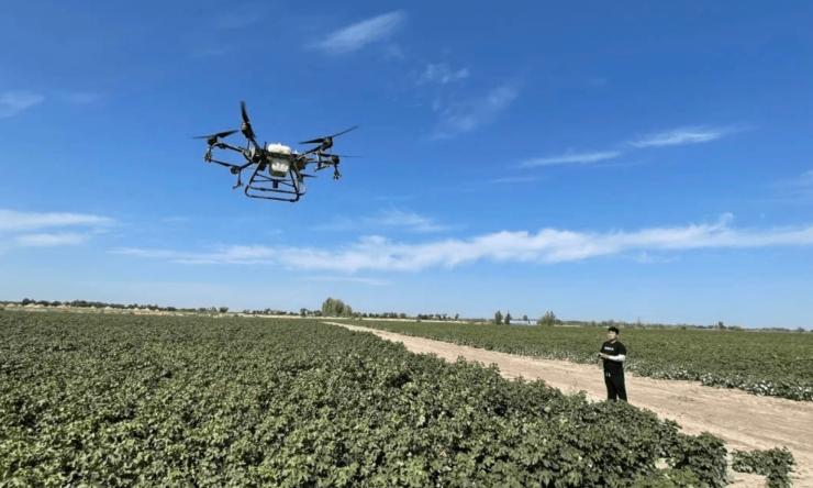 Xinjiang cotton drones spraying fields