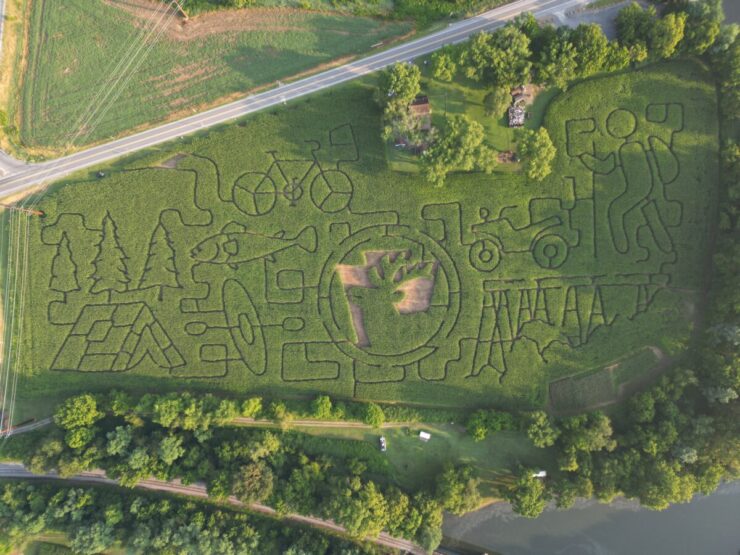 Pine Creek Corn Maze drone show over a Pennsylvania cornfield