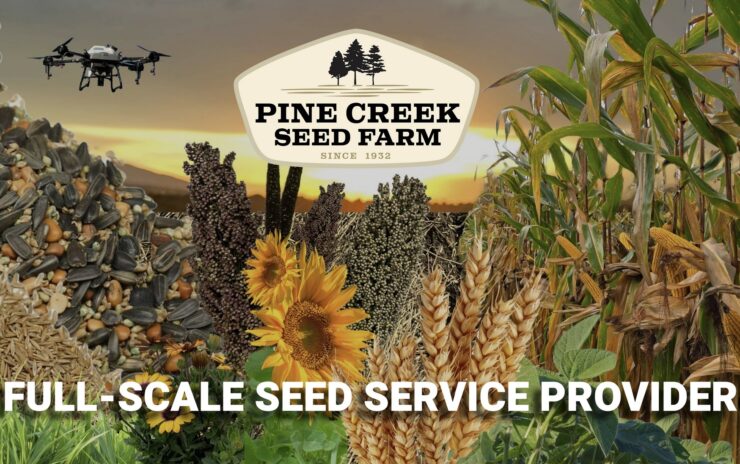 Pine Creek Corn Maze drone show over a Pennsylvania cornfield